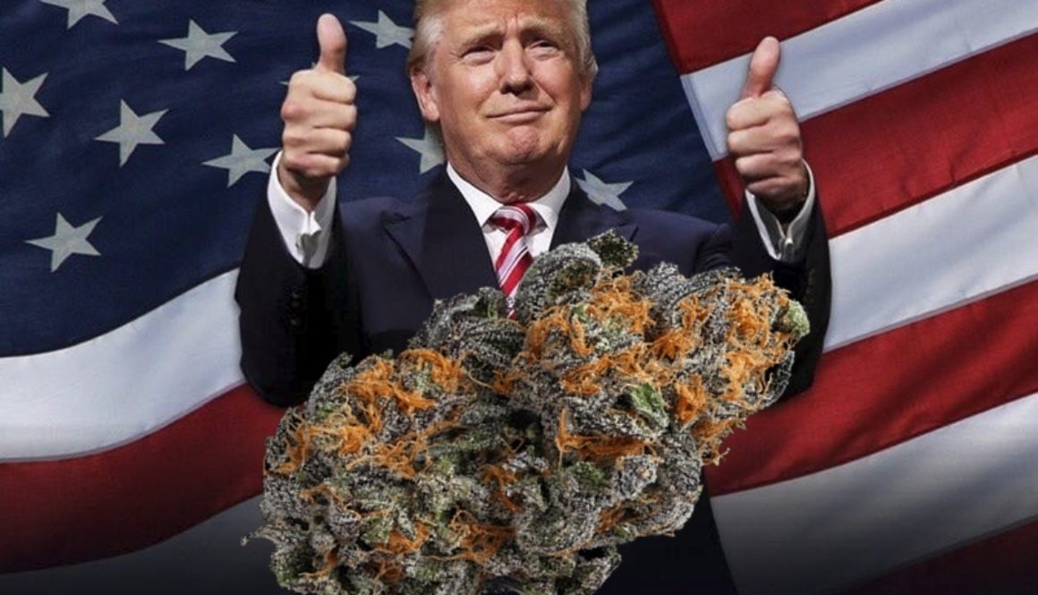 president trump to change legal laws on weed